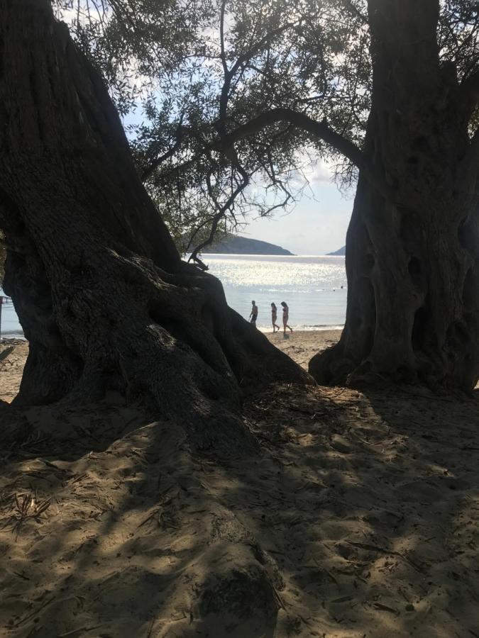 Raphael Skiathos Living-Venetia Εξωτερικό φωτογραφία